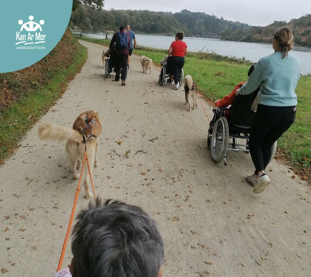 UNE SORTIE EN CANI-FAUTEUIL BIEN APPRÉCIÉE