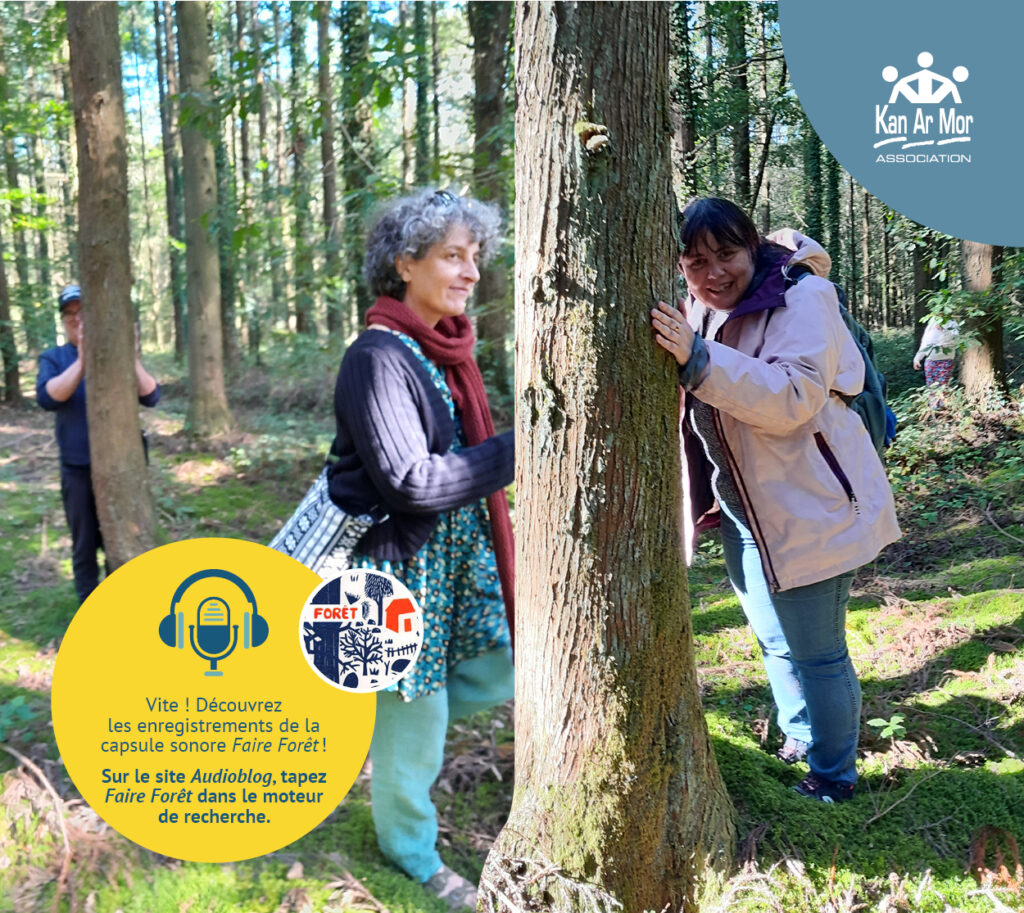 CAPSULE SONORE : FAIRE FORÊT